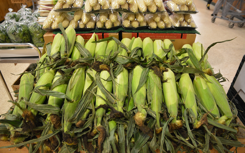 Amish corn husk