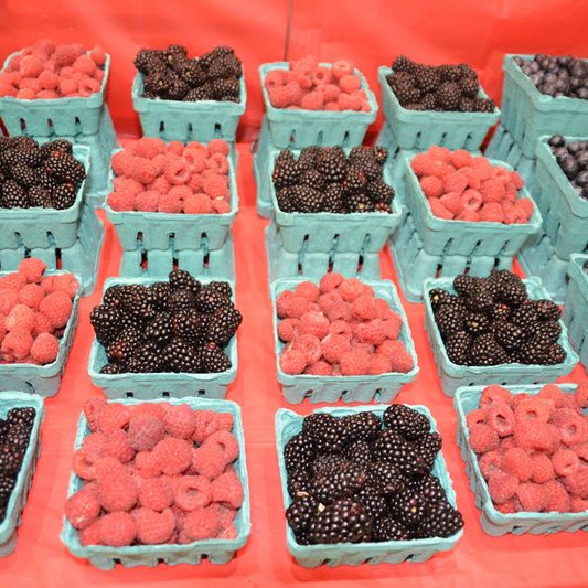 fresh berries middletown de
